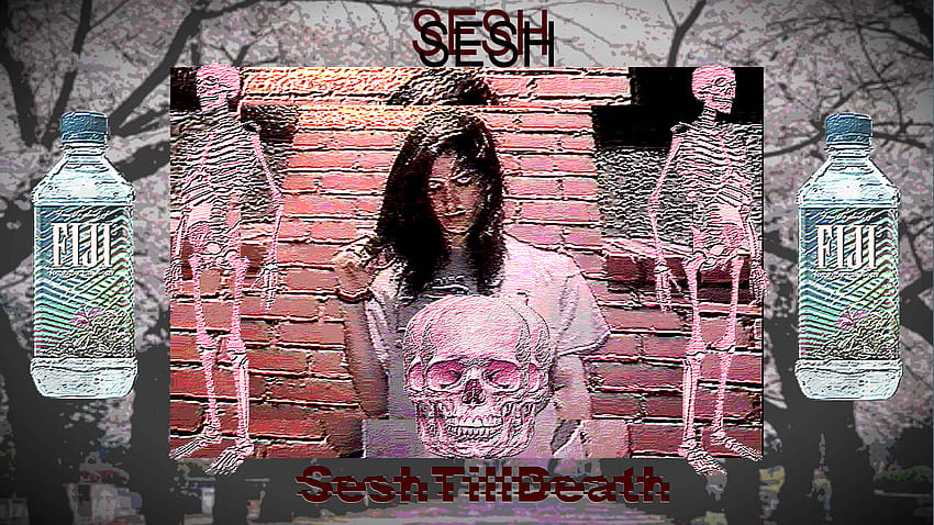 ART] Another SESH I Made. Feedback Is Appreciated HD wallpaper