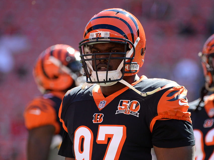 One agent each NFL team should sign in 2019, geno atkins HD wallpaper