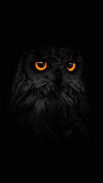 Wallpaper look, the dark background, owl, bird, treatment, owl, yellow eyes  images for desktop, section животные - download