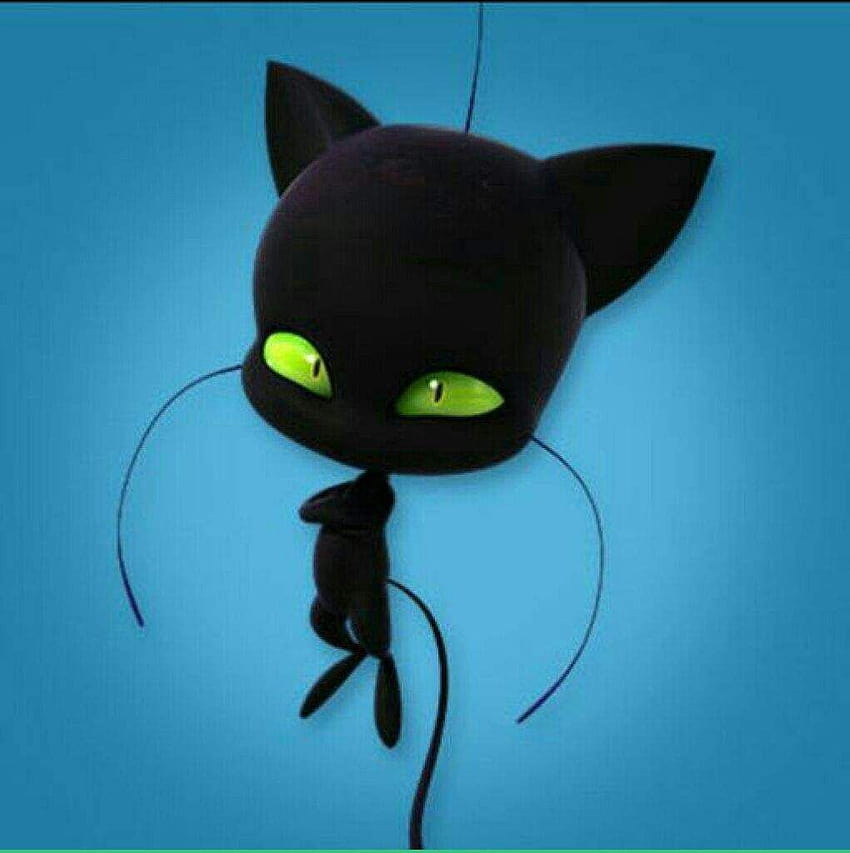 Pin en poster LadyBug Y Cat Noir, plagg HD phone wallpaper