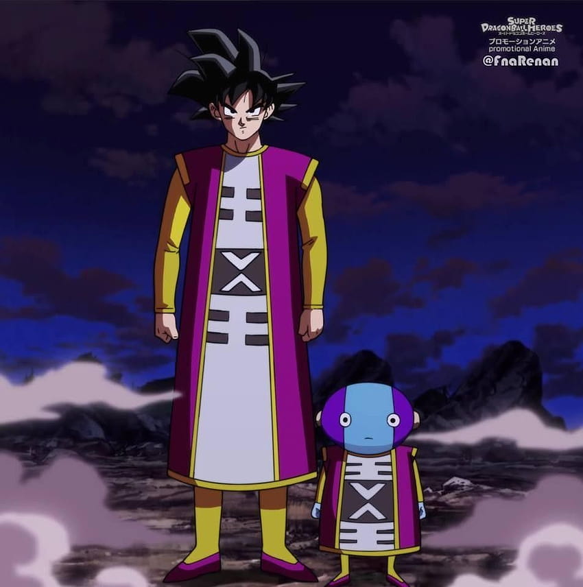 Goku y Zeno, zeno goku HD phone wallpaper