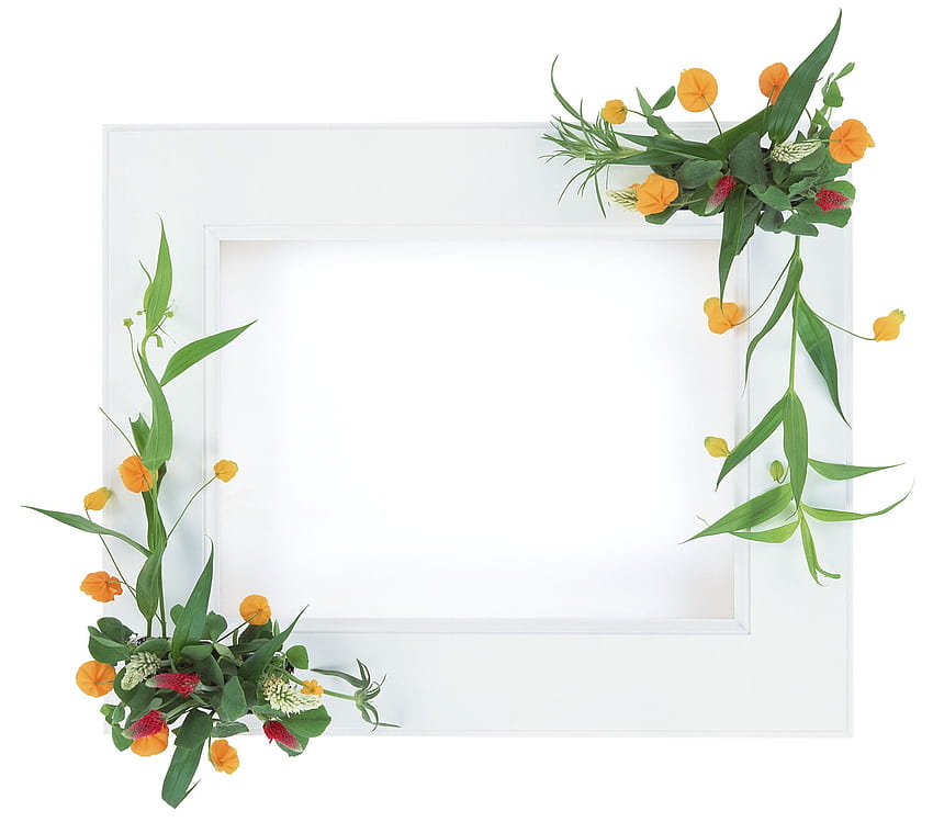 New Flower Frames, floral frame HD wallpaper