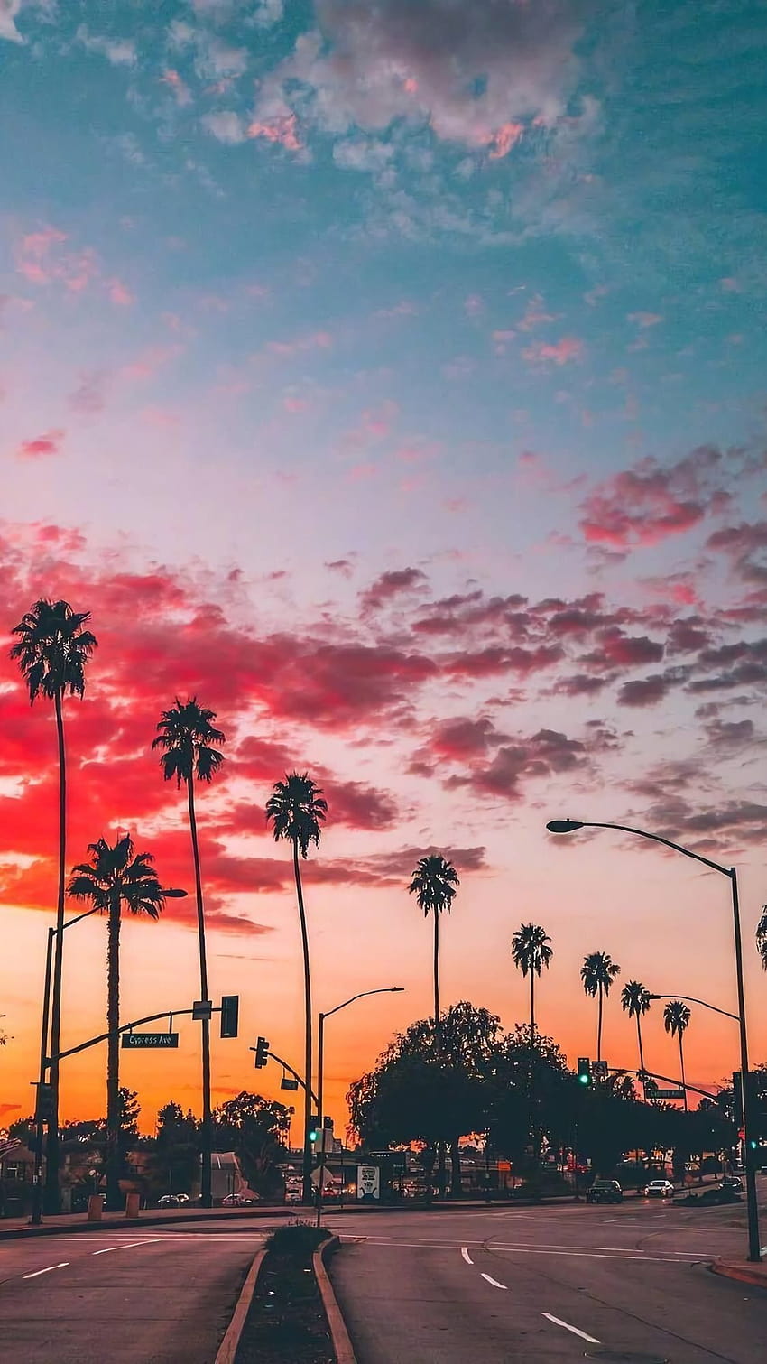coucher de soleil rose, palmiers exubérants dans la ville pour vos arrière-plans, coucher de soleil rétro sur la ville Fond d'écran de téléphone HD