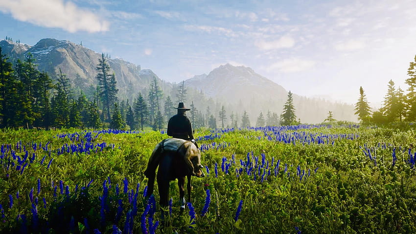 What is your favorite location in The RDR world. I love the big, wildflowers in the valley HD wallpaper