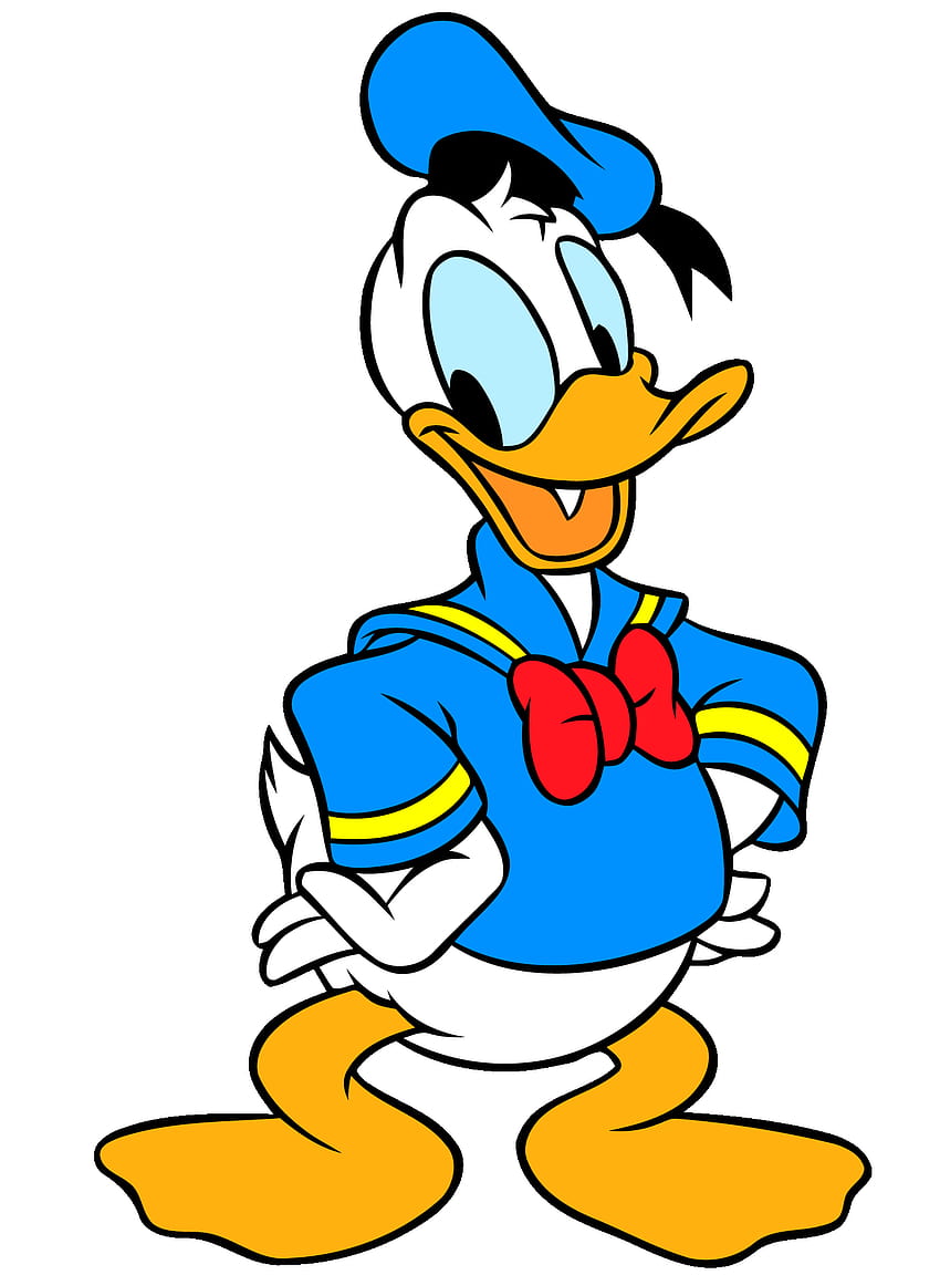 Donald Duck , Cartoon, HQ Donald Duck, Entenkarikatur HD-Handy-Hintergrundbild