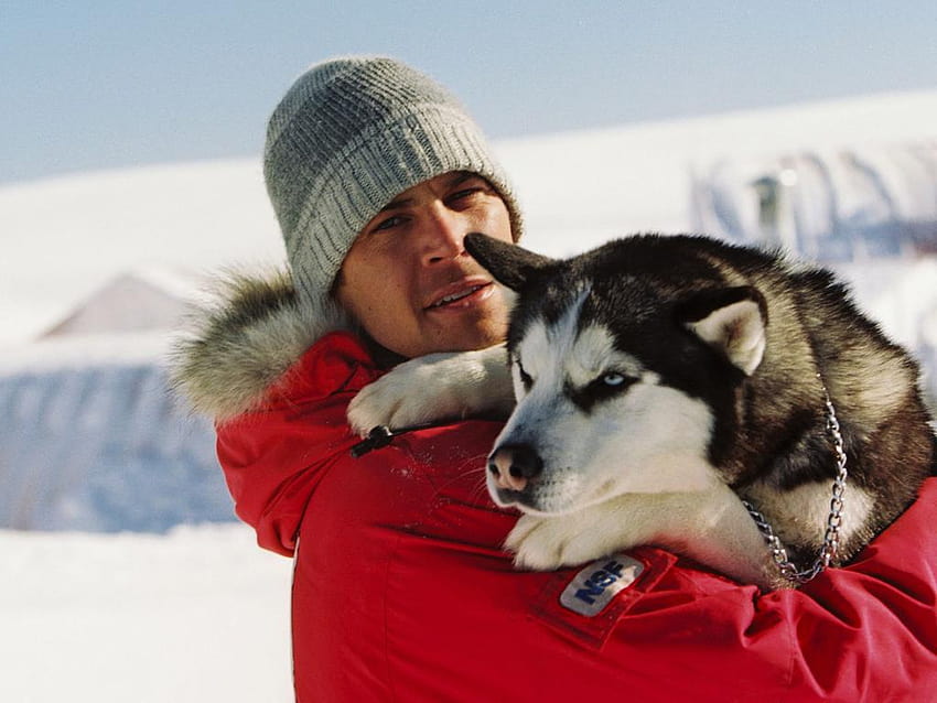 Top movies about the great outdoors, eight below HD wallpaper