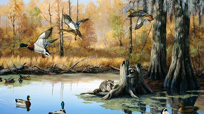 Animal Kingfisher HD Wallpaper