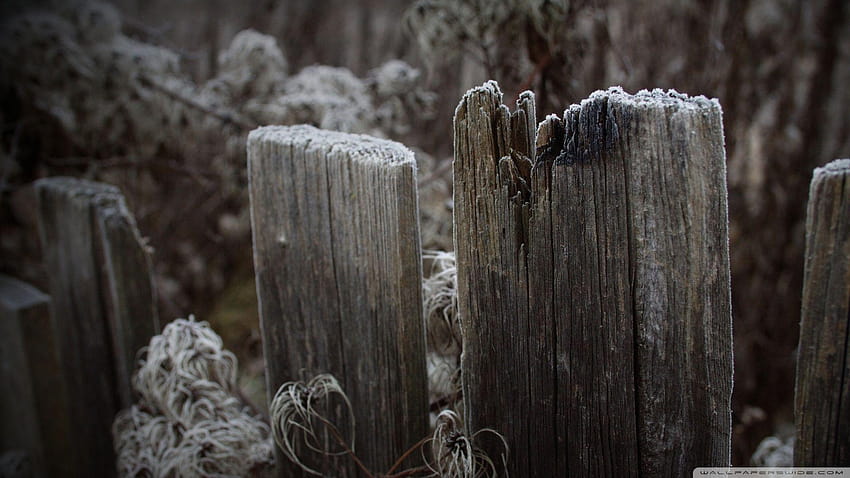 Old Wooden Fence ❤ for Ultra TV, old fence boards HD wallpaper