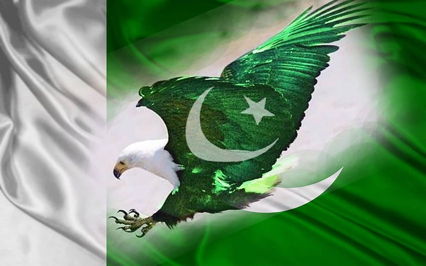 Честит Ден на независимостта на Пакистан. Орел с крила на пакистански флаг, денят на независимостта на Пакистан е красив HD тапет