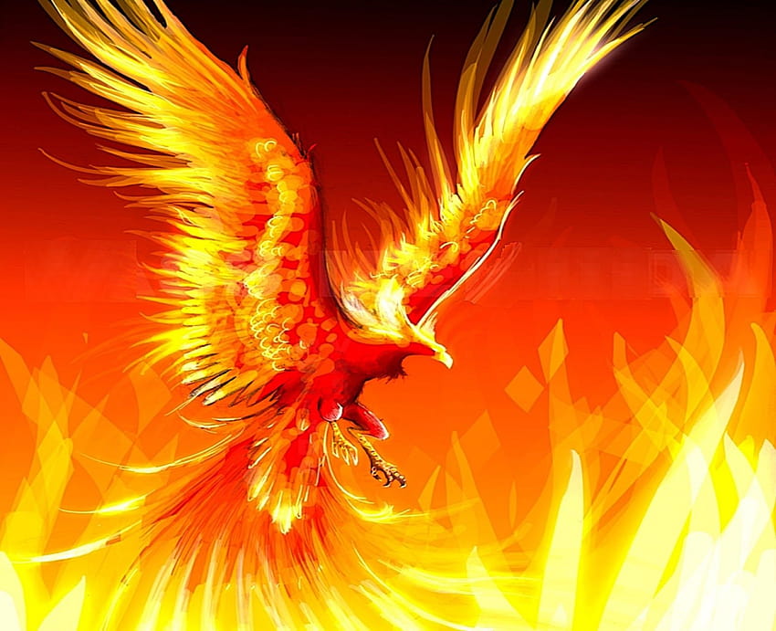 Http://2.bp.blogspot/, fire phoenix HD wallpaper | Pxfuel