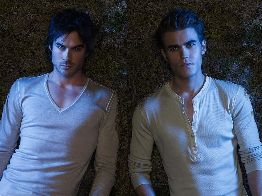 Damon and Stefan Salvatore HD wallpaper