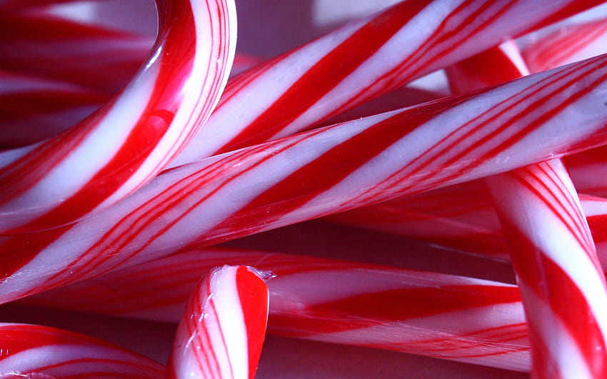 Candy Cane Up Close Backgrounds 52139 2560x1600 px, christmas candy canes HD wallpaper