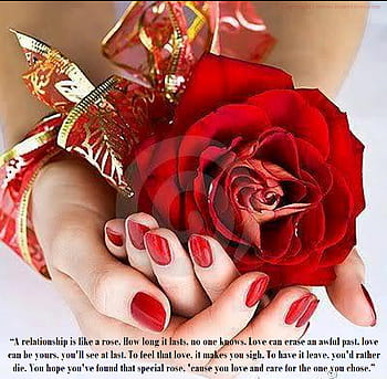 Happy Birthday Quotes With Roses. QuotesGram