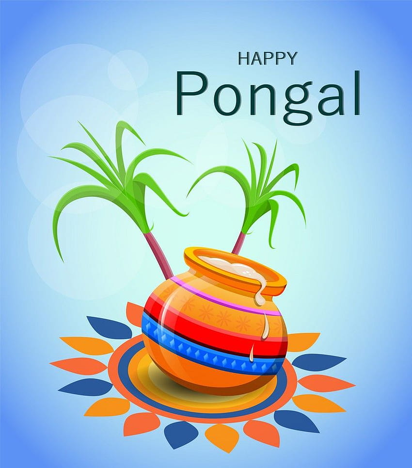 Честит Понгал Поздравителни картички и пожелания, статус и съобщения, Понгал фестивал HD тапет за телефон