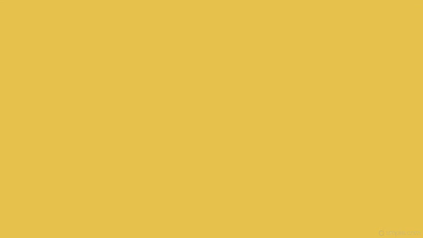 Einfarbiges Gelb, Senfgelb HD-Hintergrundbild
