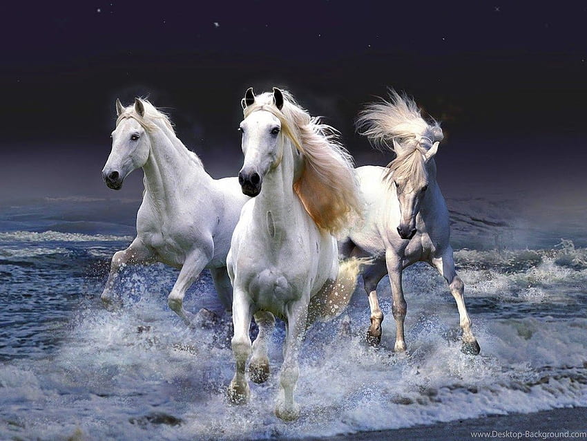 Seven Running Horse Find For, 7 Pferde HD-Hintergrundbild