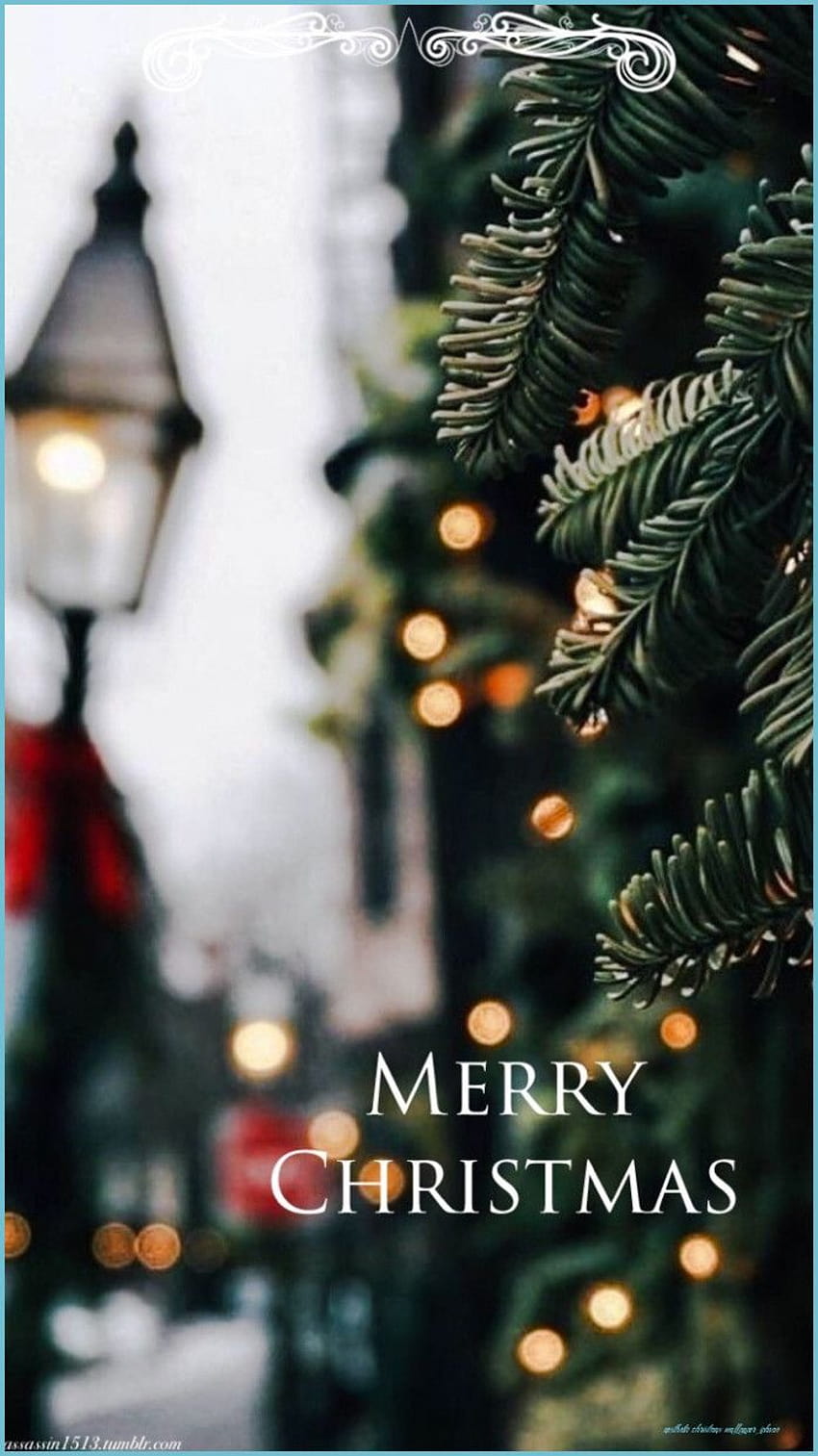 13 häufige Mythen über ästhetische Weihnachten Iphone, niedliche ästhetische Weihnachtsbäume HD-Handy-Hintergrundbild