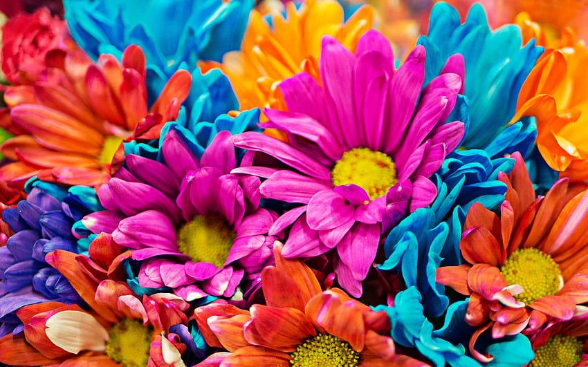 Colorful flowers, bouquet of colorful flowers, colorful bouquet HD ...