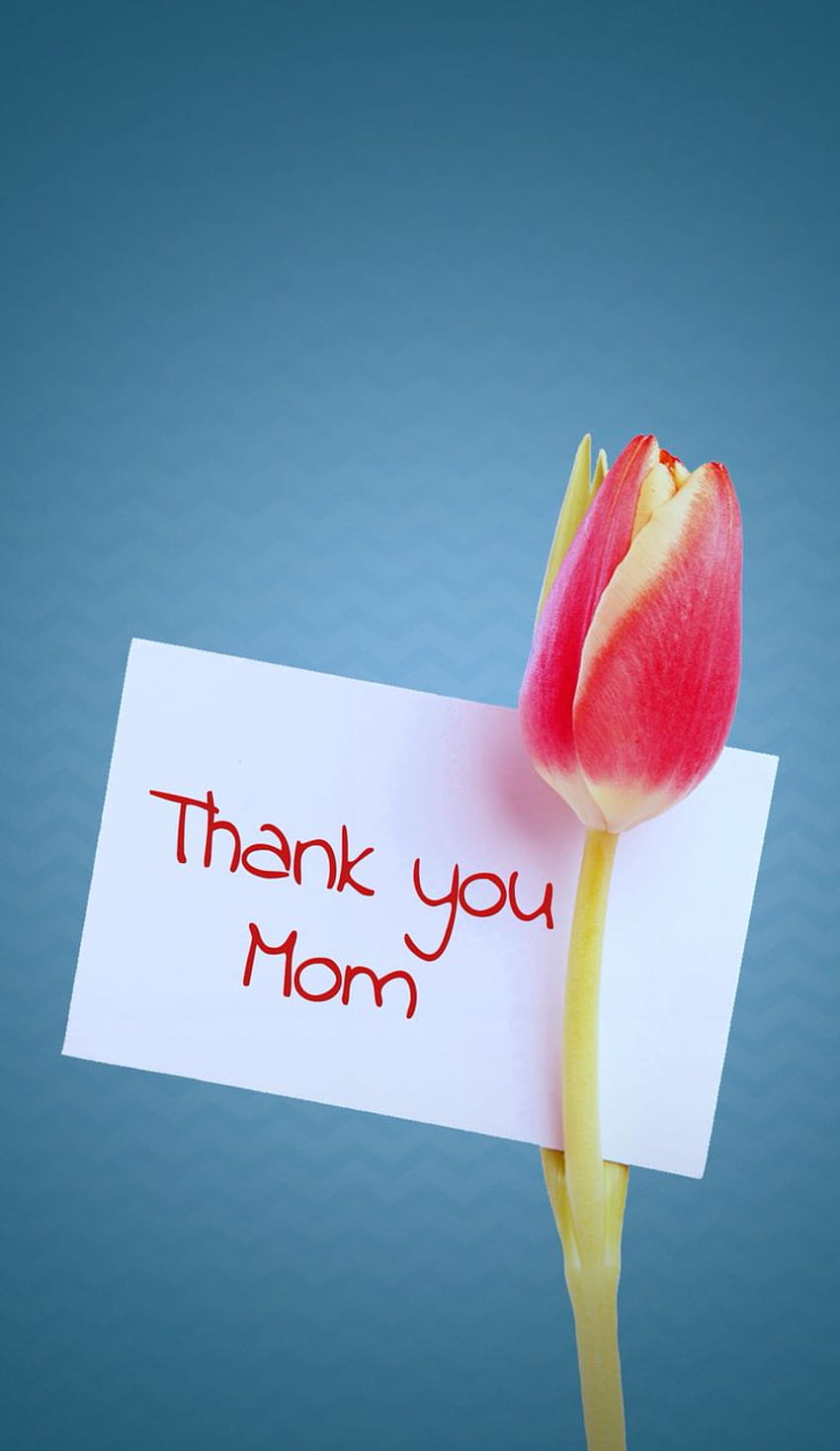 Mother's Day . Send one to your mom just for a cute pic or save and set if your the mom :), mom day HD phone wallpaper