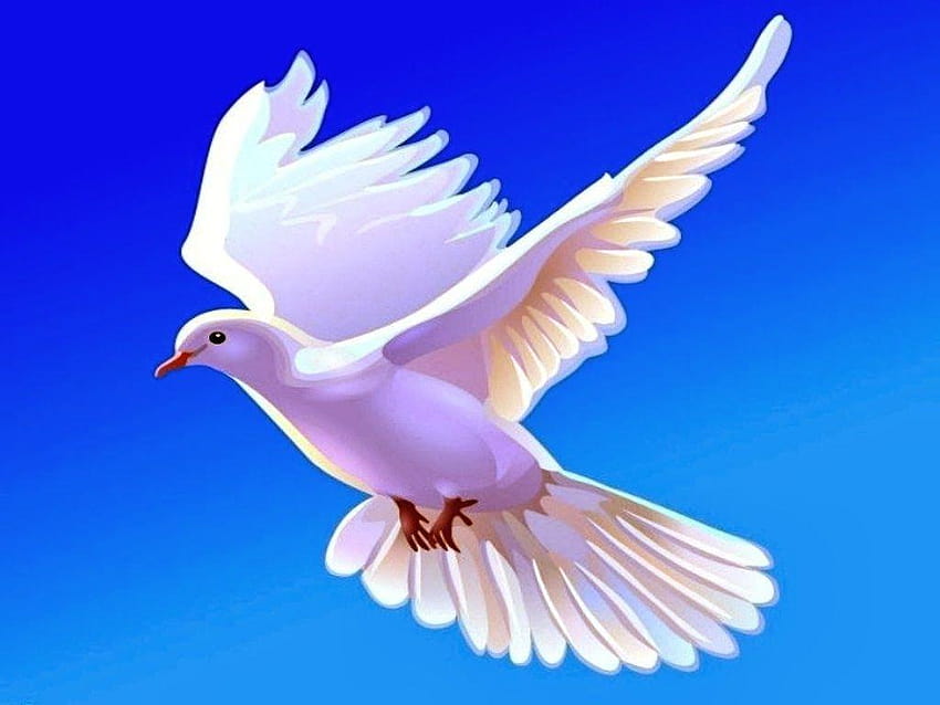 Page 21 | Dove HD wallpapers | Pxfuel