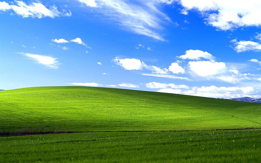Windows XP Glückseligkeit, Windows XP Grünland und blauer Himmel HD-Hintergrundbild