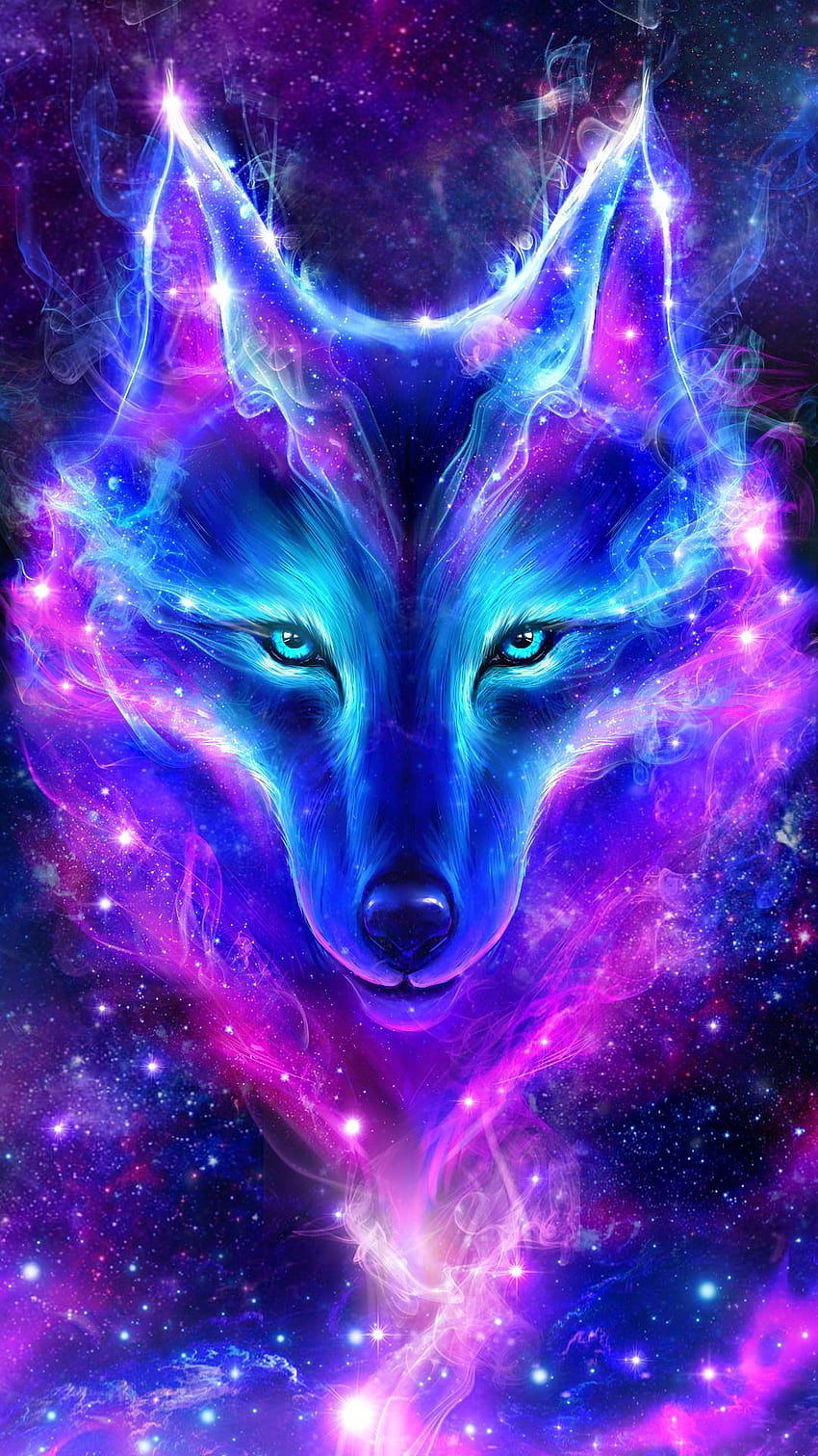Red and blue fox HD wallpapers