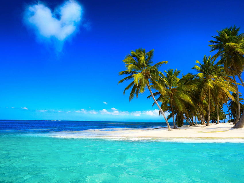 2048x1536 Arecales, Caribbean, Sea, Sky, Palm, palm tree and ocean HD wallpaper