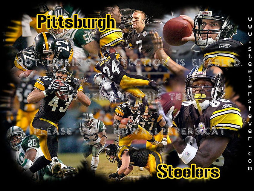 pittsburgh steelers players nfl sports HD wallpaper