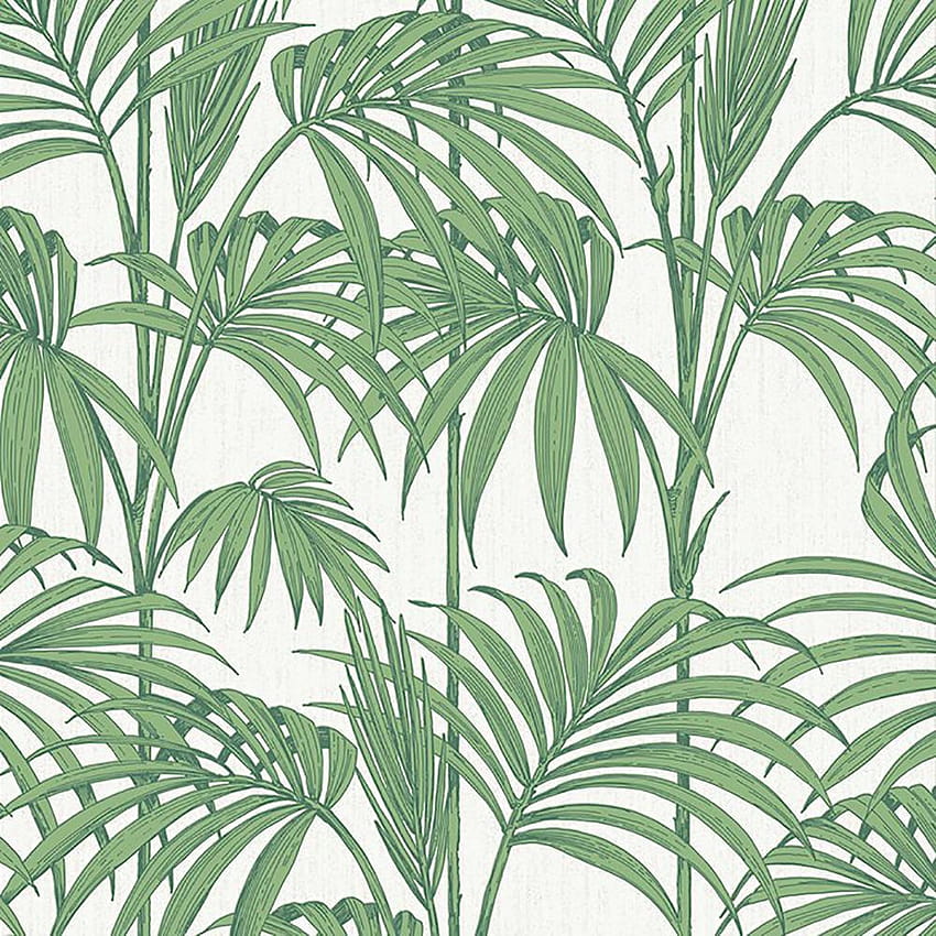 Graham & Brown Palm Green Honolulu Removable, palm leaves HD phone wallpaper