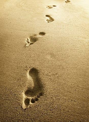 footprints-in-the-sand-wallpaper-sunset-wonderful-nice-for-your-computer -  Diligent Hearts