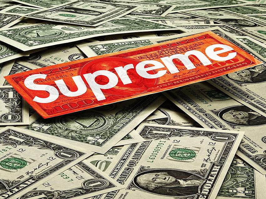 Supreme Money on Dog, red money HD wallpaper
