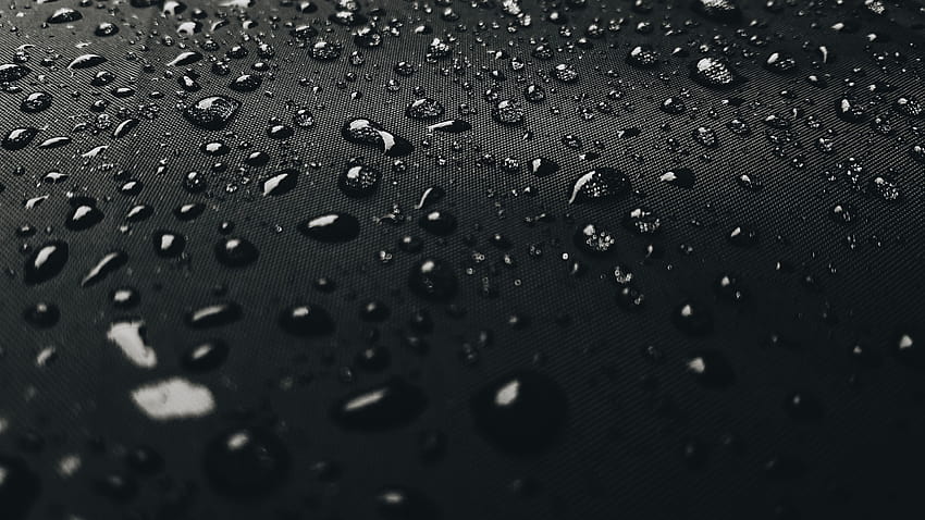 moisture, rain, drizzle, black and white, drop HD wallpaper