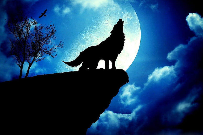 tła dla> Wolf Moon 3d Tapeta HD