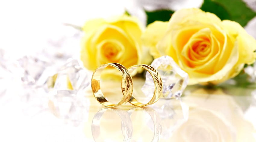 แหวนหมั้น, สีเหลือง, ดอกกุหลาบ, ดอกไม้, กุหลาบสวน, แหวนแต่งงาน, จัดหางานแต่งงาน, กุหลาบครอบครัว, ปลูก, เครื่องประดับแฟชั่น, กลีบดอกไม้, พิธีแหวน วอลล์เปเปอร์ HD