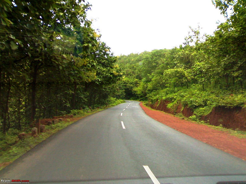 Go to Top Bottom, kerala road HD wallpaper