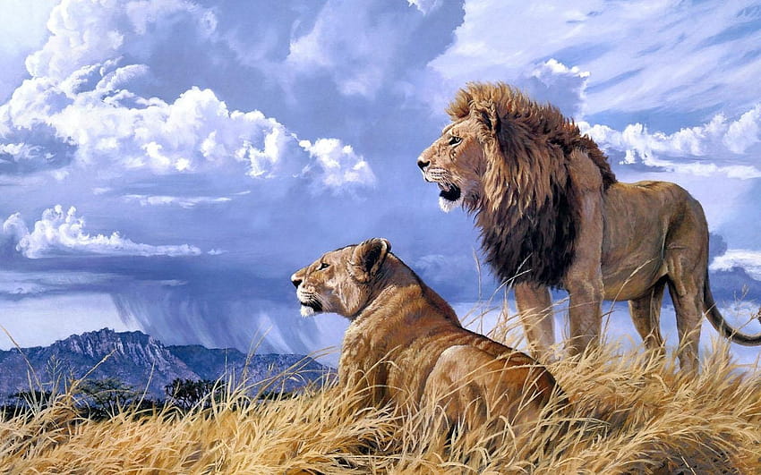 Beautiful Of Lions Png Wa HD wallpaper