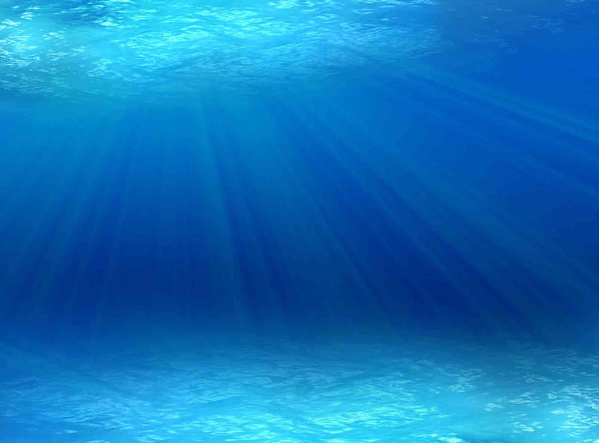 Ocean 1 [1600x1182] for your , Mobile & Tablet, sea floor HD wallpaper
