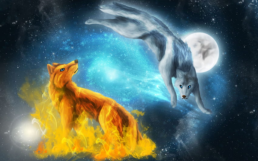 Cute Fox and Wolf, blue fox HD wallpaper