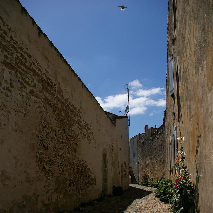 Ruelle Ile de Re HD phone wallpaper