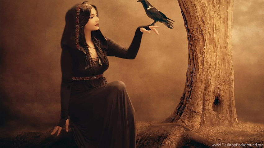 Full Gypsy Fortune Teller Raven Tree, ... Backgrounds HD wallpaper