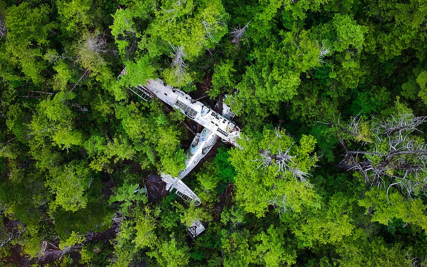 墜落した飛行機、ジャングル、森、上からの眺め、飛行機墜落事故 高画質の壁紙