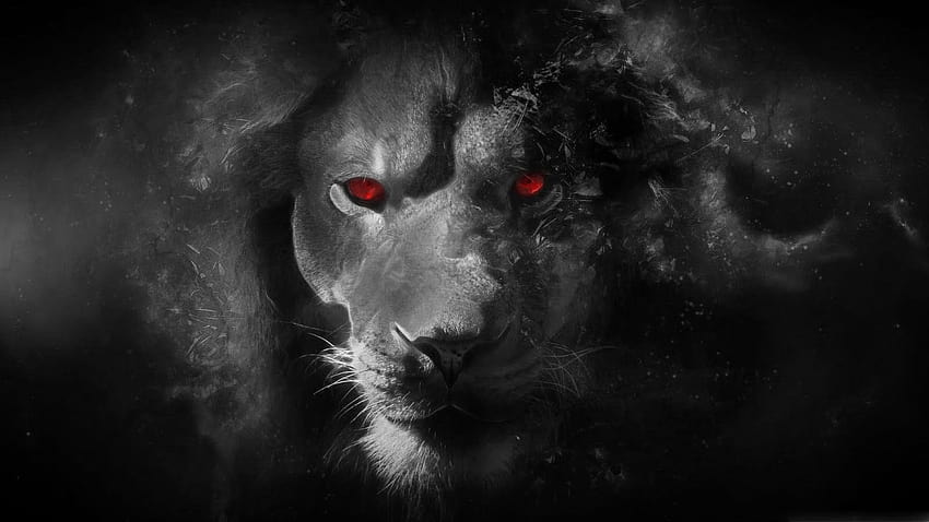 Löwenaugen, rote und blaue Augen HD-Hintergrundbild