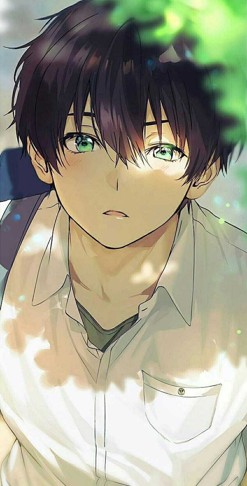 Cute Anime For Boys, shy anime boy HD phone wallpaper