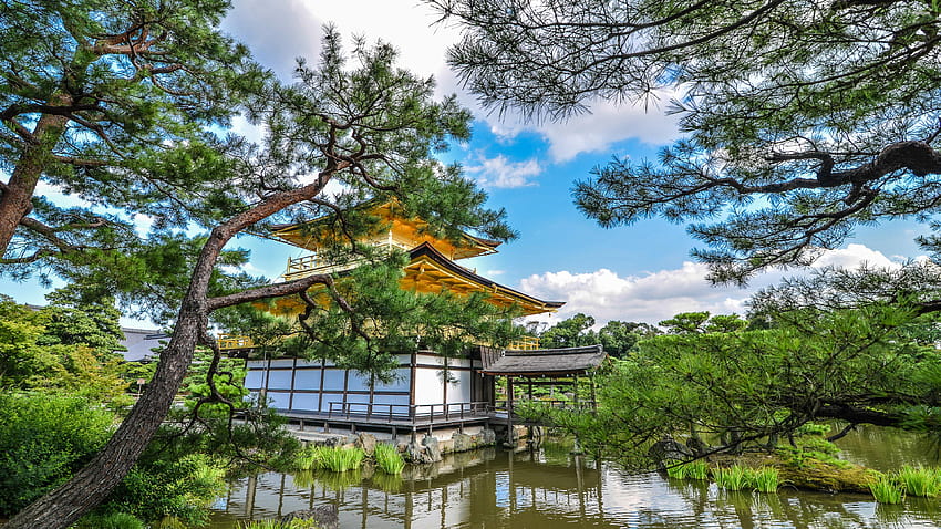 Japanese temple by the lake in a garden, garden lake HD wallpaper