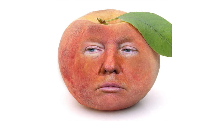 Trump em Peach, memes de Donald Trump papel de parede HD