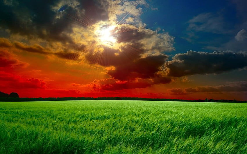 Hidden Sun & Wheat Field, hiding sun HD wallpaper