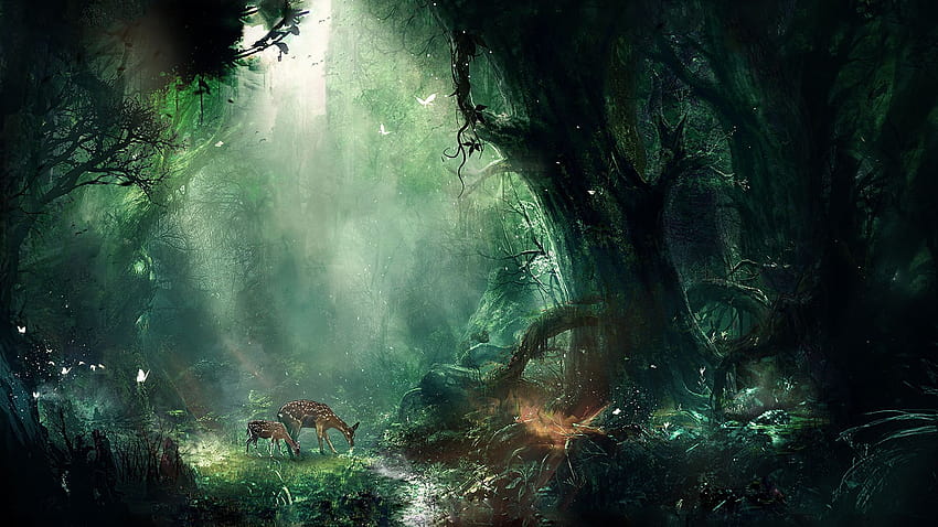 Tła lasu fantasy, fae Tapeta HD