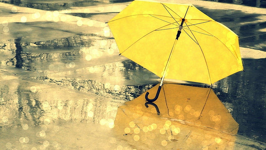 Yellow Umbrella During Rain Season, rainy season HD wallpaper