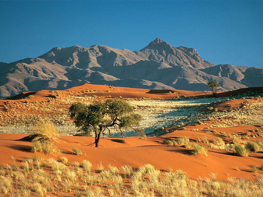Desert Nature Wallpapers  Top Free Desert Nature Backgrounds   WallpaperAccess