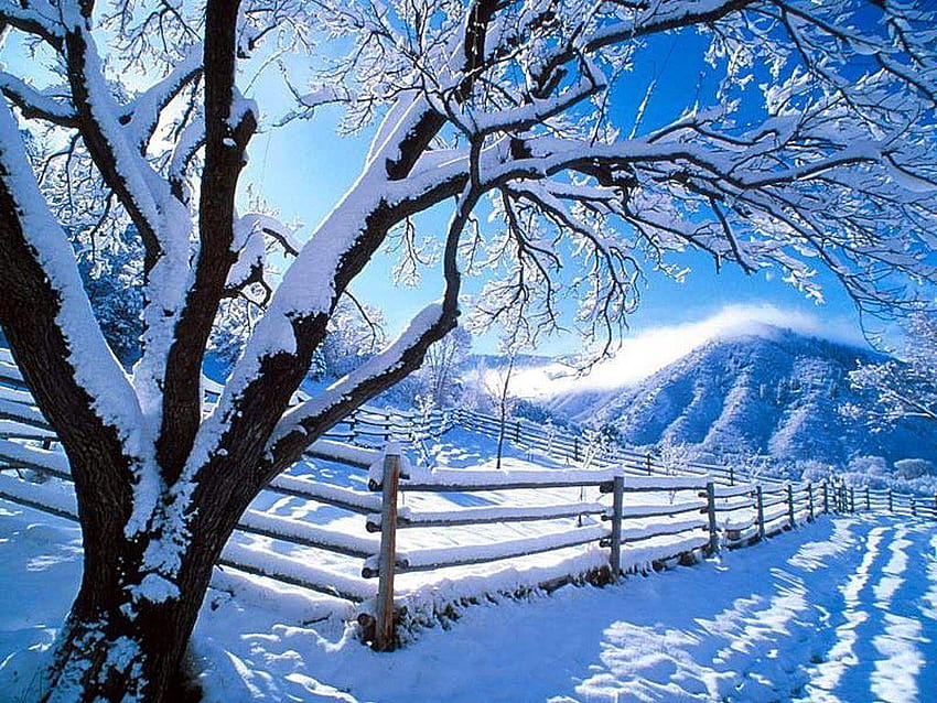 winter, solsticio de invierno HD wallpaper